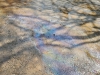 IMG-20210409-WA0020